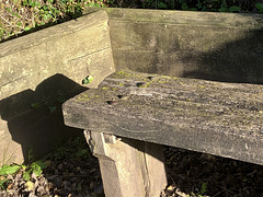 Moss on bench