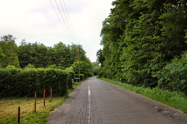 Vonderbergstraße (Bottrop-Vonderort) / 21.05.2022