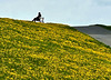 Ruheplatz auf dem Deich