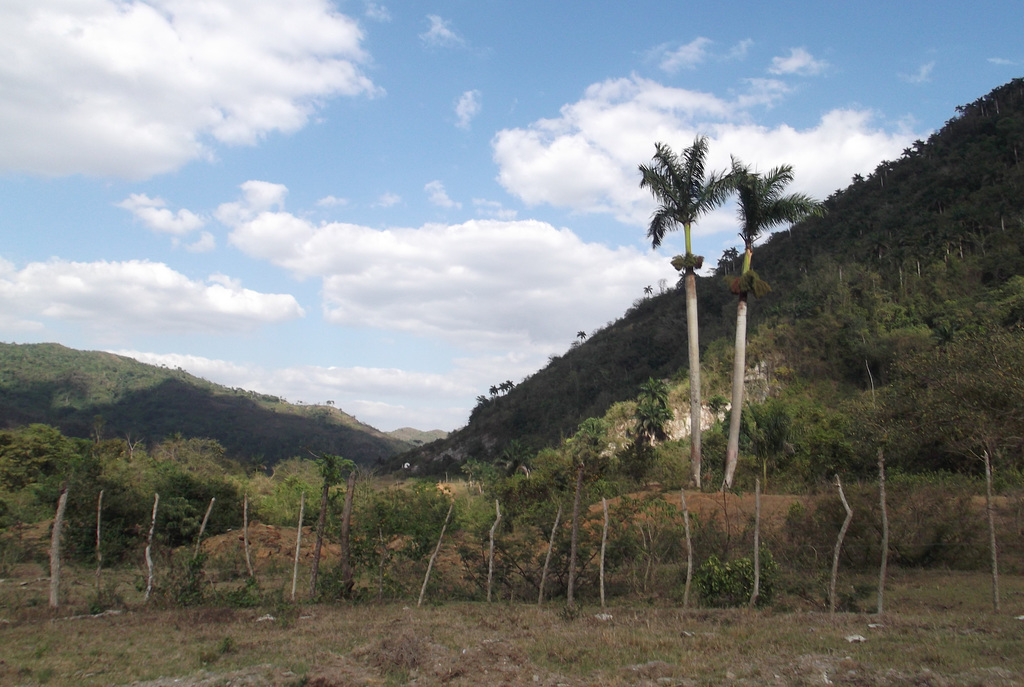 Campagne cubaine / Cuban country landscape