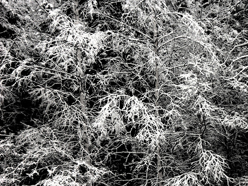 Tuesday's snow