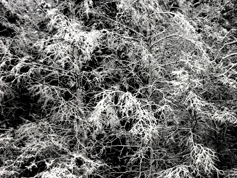 Tuesday's snow