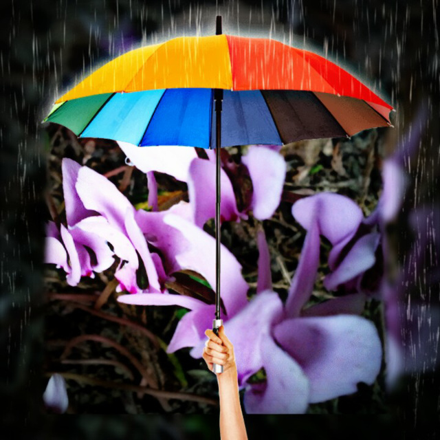 Singing in the rain.,.......Chantons sous la pluie.