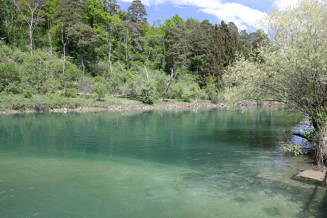 Rüdlingen - Am Alten Rhein (17)