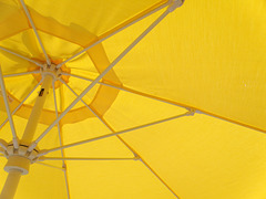 Umbrella