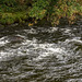 River Gwynant