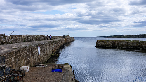 St Andrews Harbour, 2015