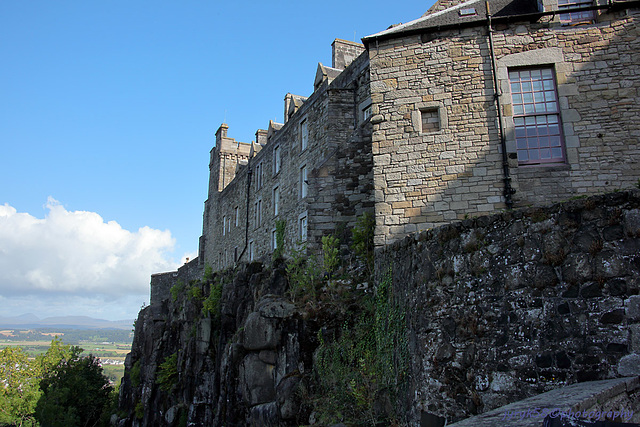 Stirling Castle (11)