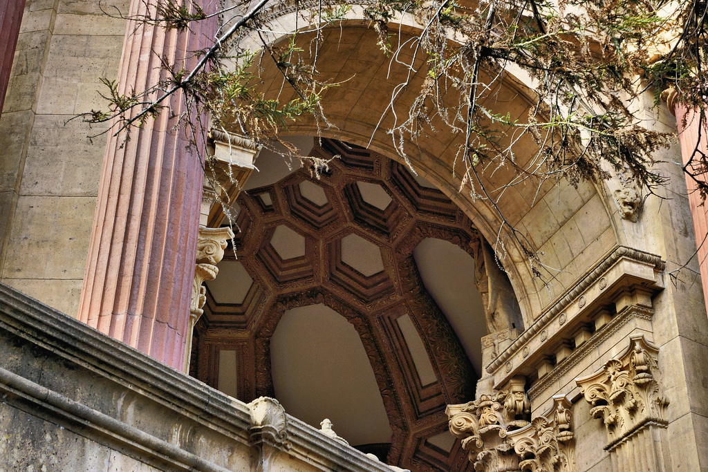 Under the Top – Palace of Fine Arts, Marina District, San Francisco, California