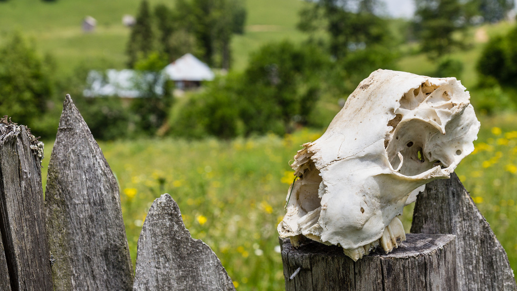 18 06 Maramures-205