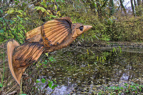 A bird in the bush