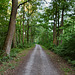 Weg am Naturschutzgebiet Beversee (Bergkamen) / 29.06.2019