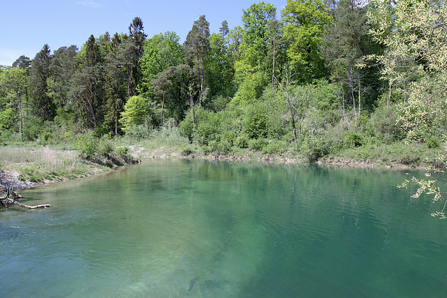 Rüdlingen - Am Alten Rhein (19)