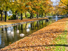 Köln - Lindenthaler Kanäle