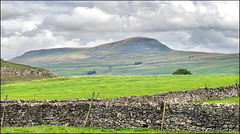 HWW................. HWW.................