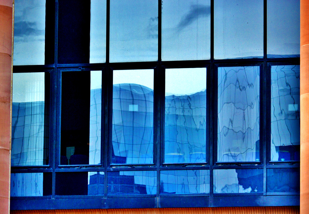 Reflecting The Sage