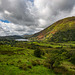 Llyn Gwynant