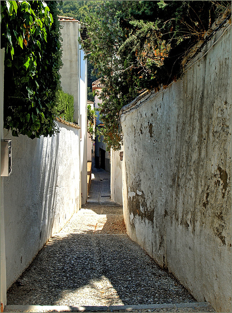 Granada El Albaicin