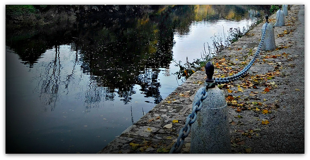 reflets d'automne