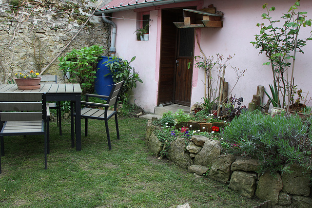 quelques fleurs et de la verdure