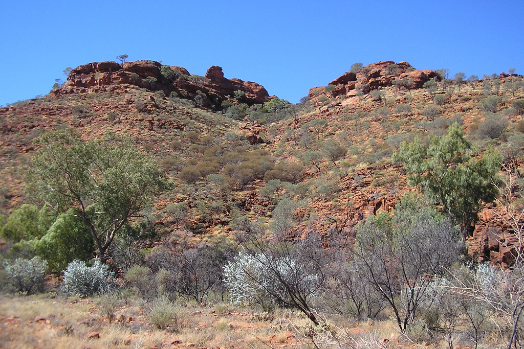 Kings Canyon