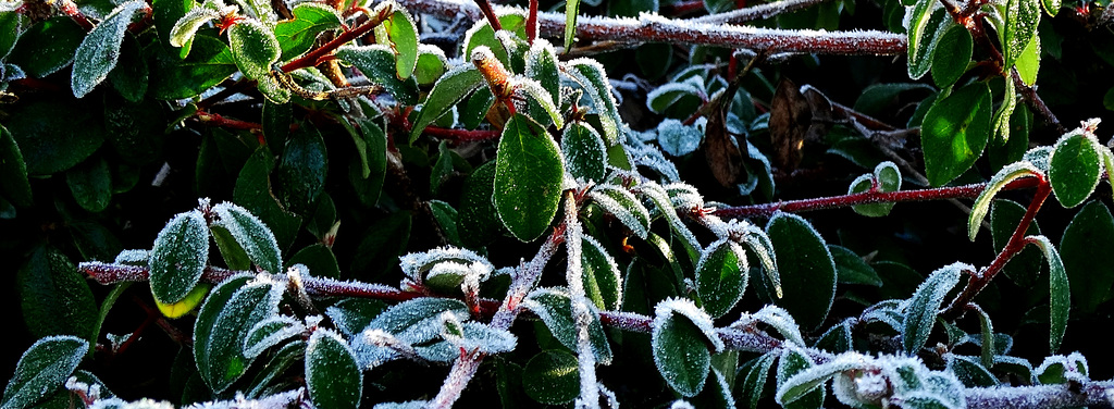 It's Cold!!