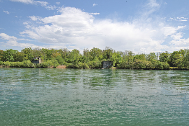 Rüdlingen - Am Alten Rhein (22)