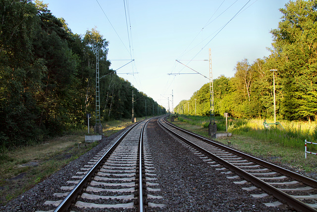 Hamm-Osterfelder Bahn (Bergkamen) / 29.06.2019