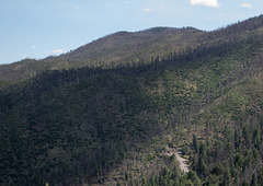 Gila National Forest NM Emory Pass fire (# 0816)