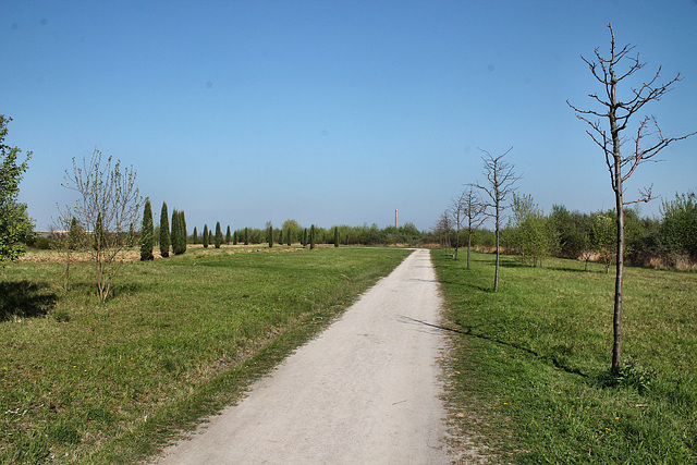 Weg zum Baumplateau (Halde Großes Holz, Bergkamen) / 9.04.2017