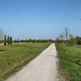 Weg zum Baumplateau (Halde Großes Holz, Bergkamen) / 9.04.2017