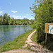 Rüdlingen - Am Alten Rhein (23) - Infotafel am Wanderweg