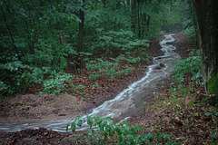 Plötzlich war der Wanderweg weg.