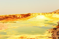 Striking Yellow - Sulphur - Dallol