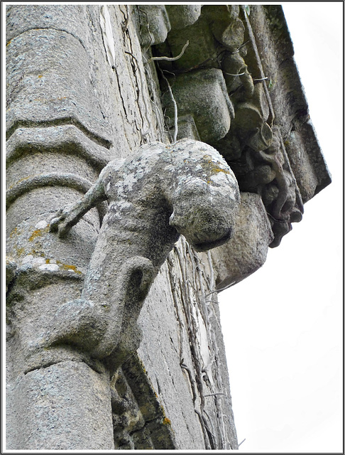 (Château de la Garaye (Taden) 22 - Tour d'escalier, détail d'un décor sculpté