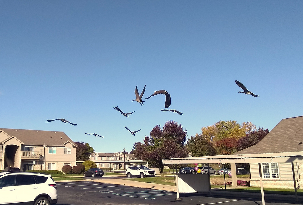 Visitors in our parking lot