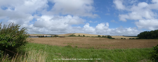 East to Beacon Hill pano 7 8 2021