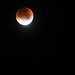 Lunar Eclipse