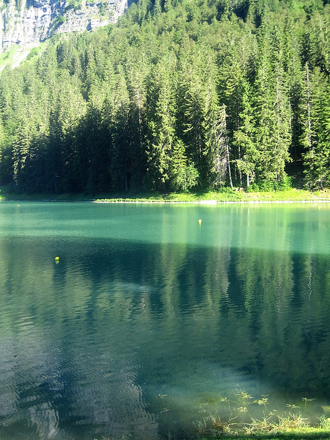 Lac de Montriond