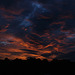 Dramatic Sky`s at Sunset from Staxton North Yorkshire 6th July 2010
