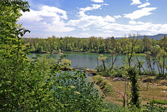 Rüdlingen - Ausblick vom Wanderweg Egghof (1)