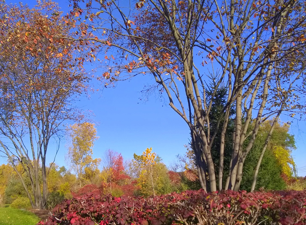 October sky