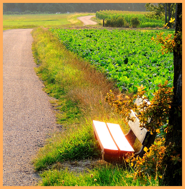 Reflective Seat  (Hbm)