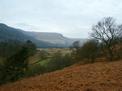 Looking over Smaithwaite from the path to Wren Crag