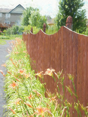 summer friday fence