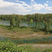 Rüdlingen - Ausblick vom Wanderweg Egghof (2)