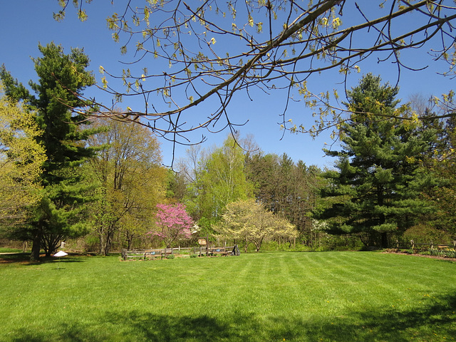 The herb garden