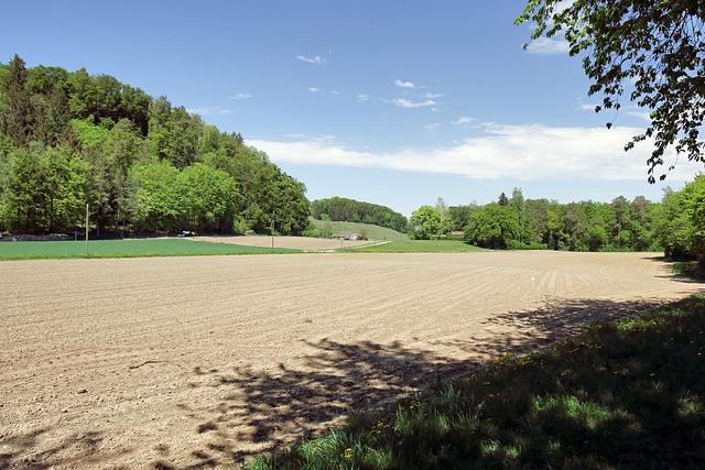 Rüdlingen - Wanderweg beim Egghof