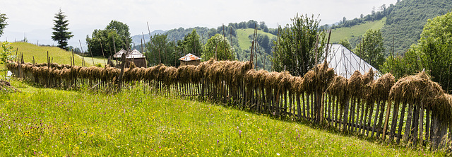 18 06 Maramures-214 18 06 Maramures-214
