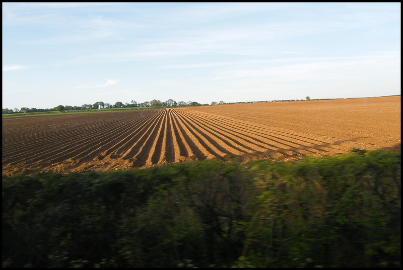 ploughed field in spring